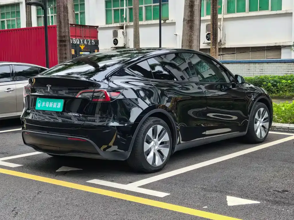 Tesla Model Y — фото 9