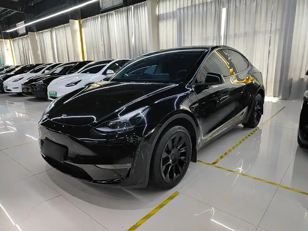 Tesla Model Y — фото 1