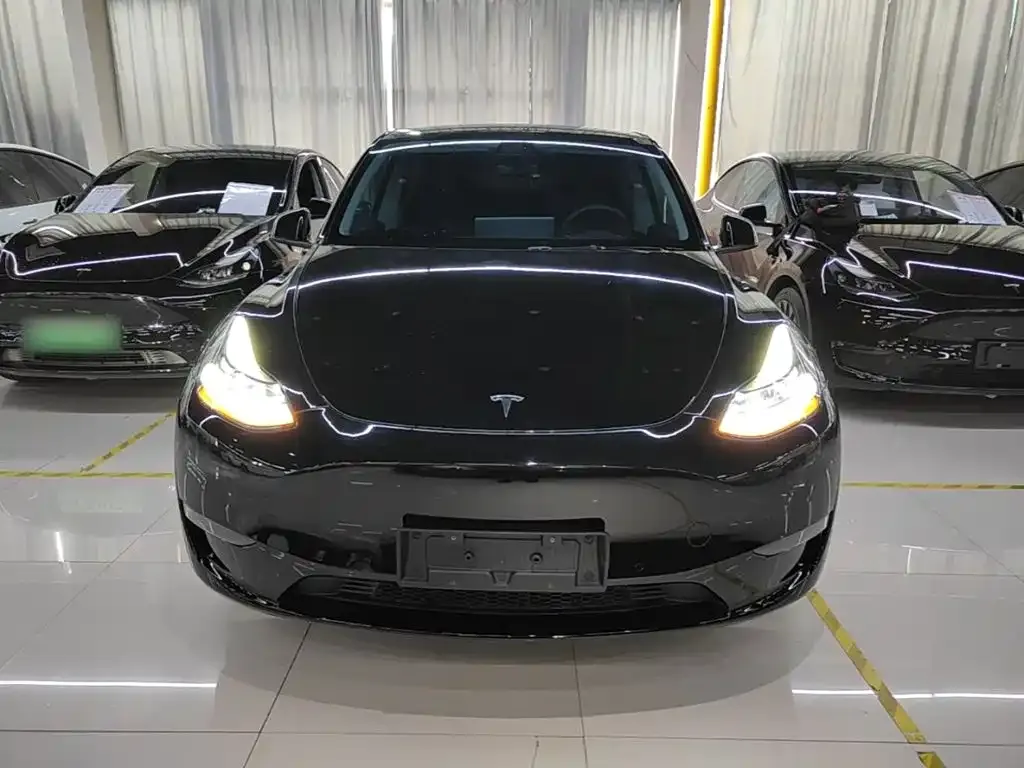 Tesla Model Y — фото 2