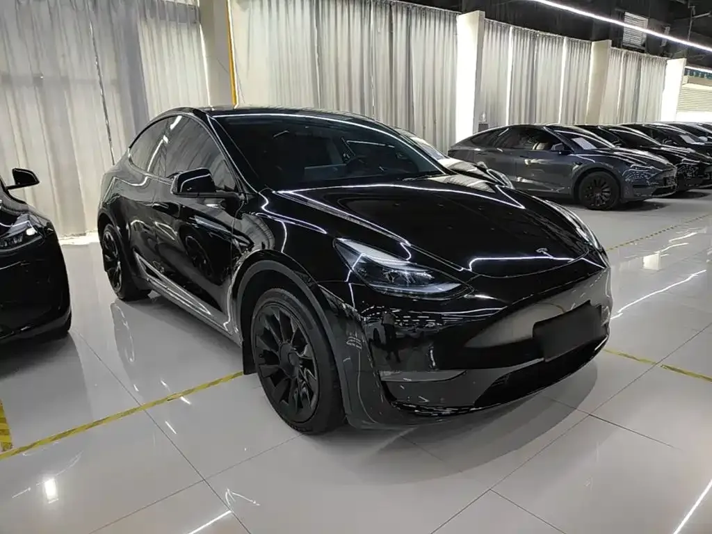 Tesla Model Y — фото 3