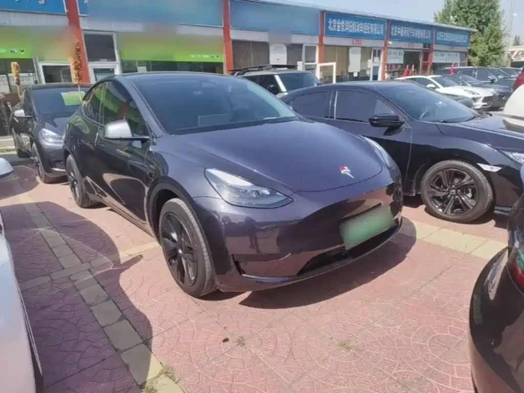 Tesla Model Y — фото 6