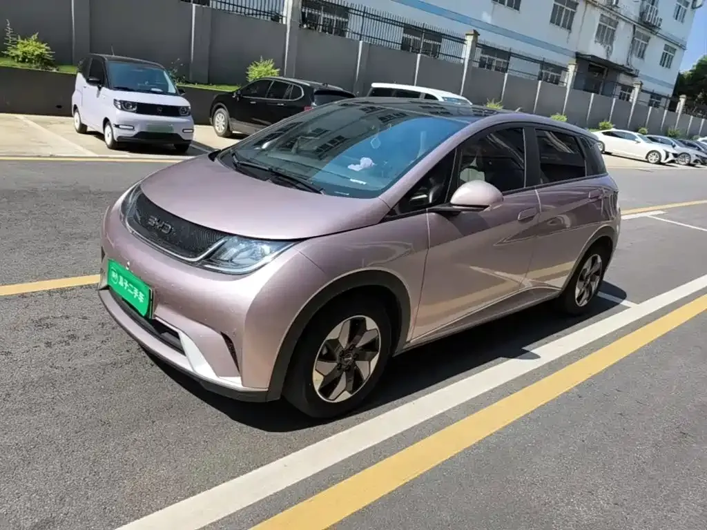 BYD Dolphin