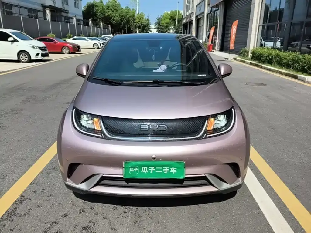 BYD Dolphin 2024 из CN, фото 10