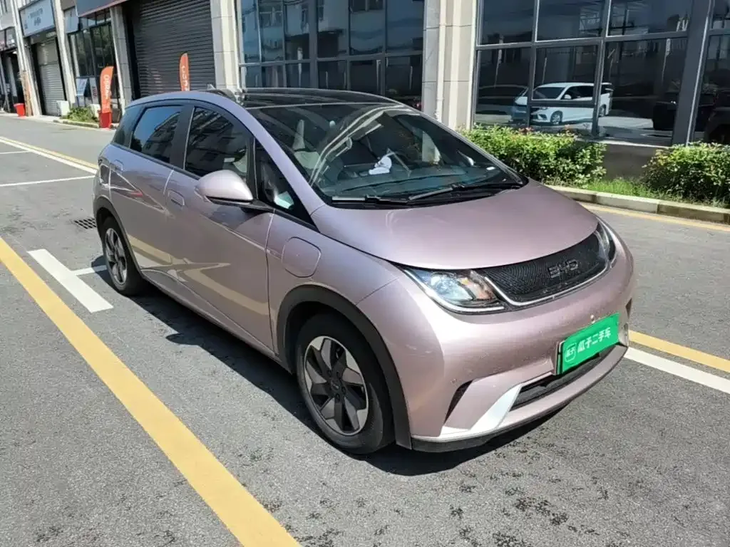 BYD Dolphin 2024 из CN, фото 9