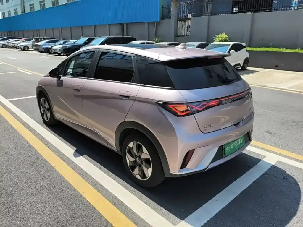 BYD Dolphin 2024 из CN, фото 3