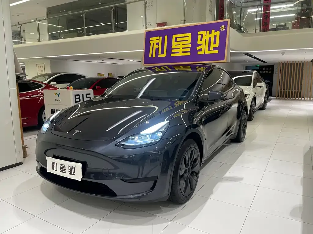 Tesla Model Y — фото 1