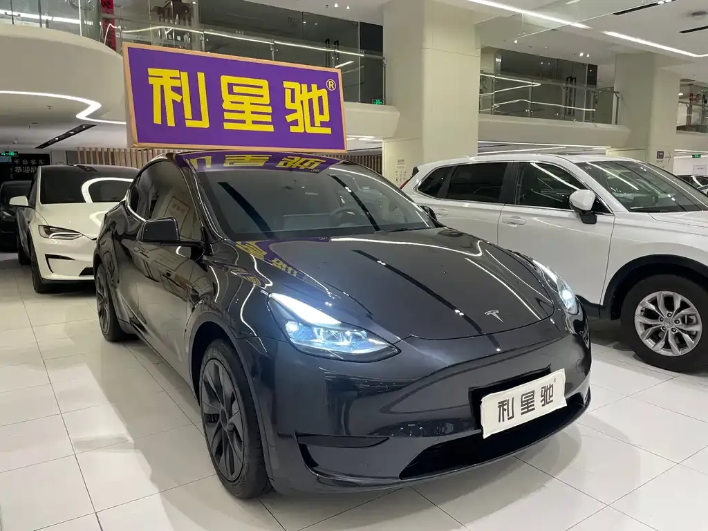 Tesla Model Y — фото 6