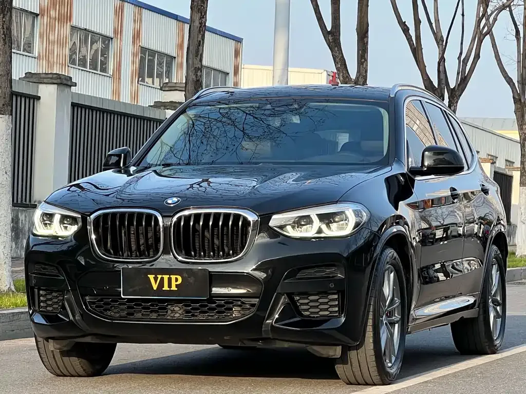 BMW X3 — фото 1