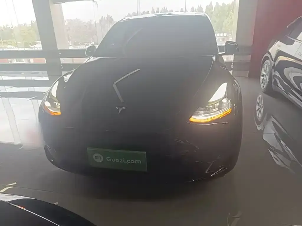 Tesla Model Y — фото 1