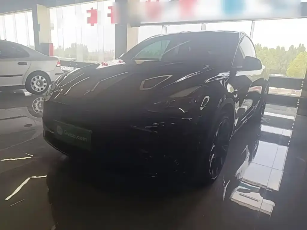 Tesla Model Y — фото 5
