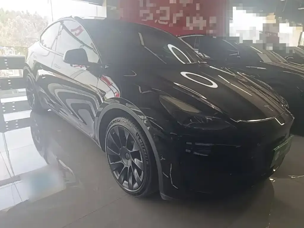 Tesla Model Y — фото 10
