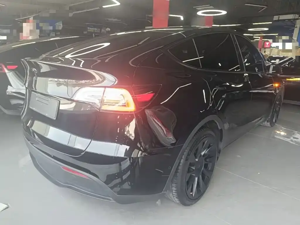 Tesla Model Y — фото 2