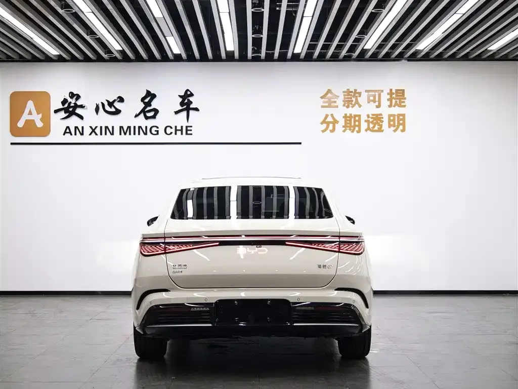 BYD Seal 07 DM-i 2024 из CN, фото 6