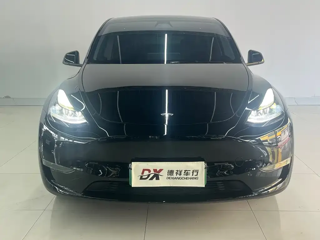 Tesla Model Y — фото 8