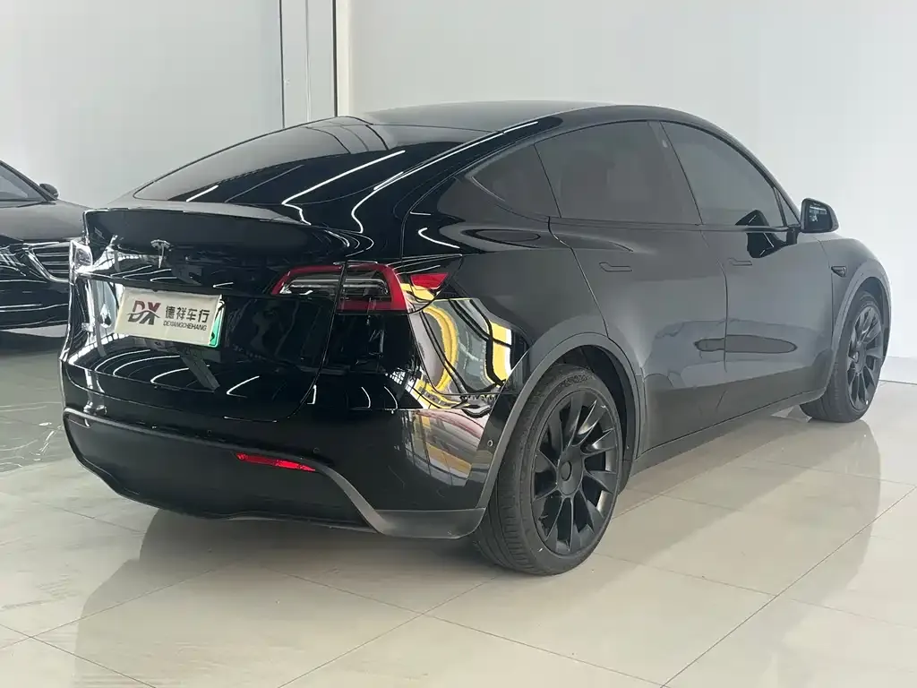 Tesla Model Y — фото 6