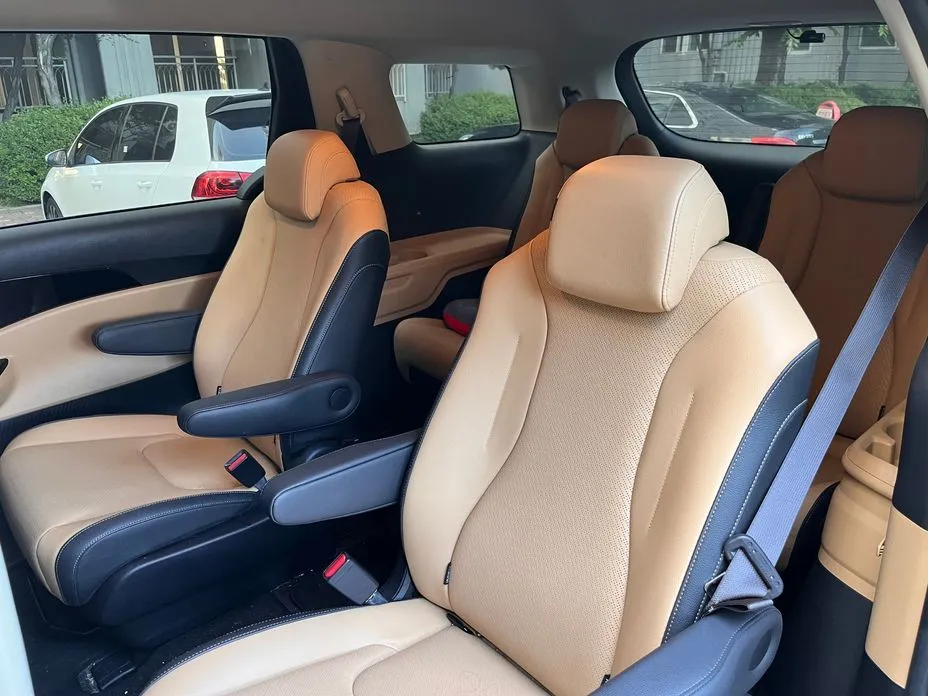 Kia Carnival — фото 10