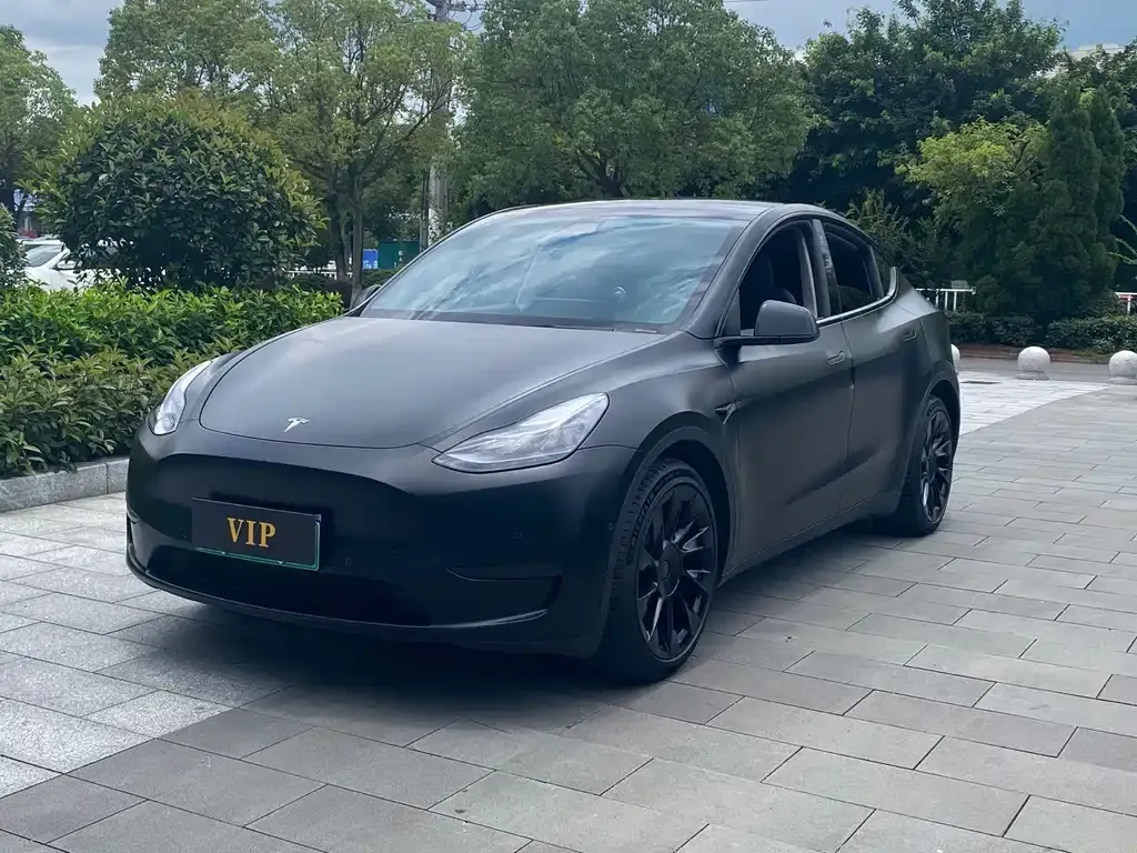 Tesla Model Y — фото 1
