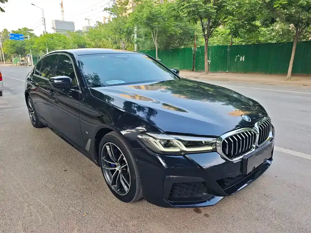BMW 5 Series New Energy 2021 из CN, фото 4
