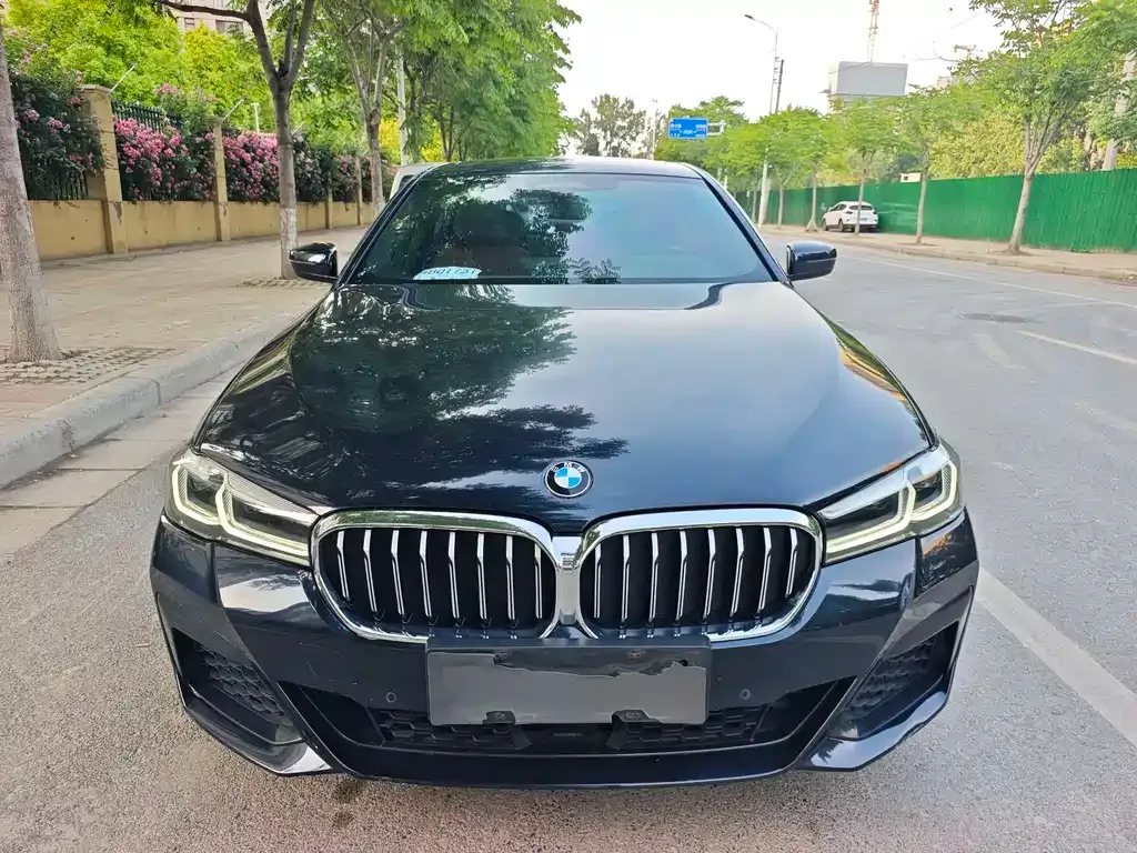 BMW 5 Series New Energy 2021 из CN, фото 6