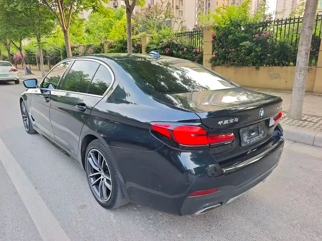 BMW 5 Series New Energy 2021 из CN, фото 9