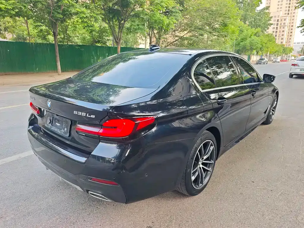 BMW 5 Series New Energy 2021 из CN, фото 2
