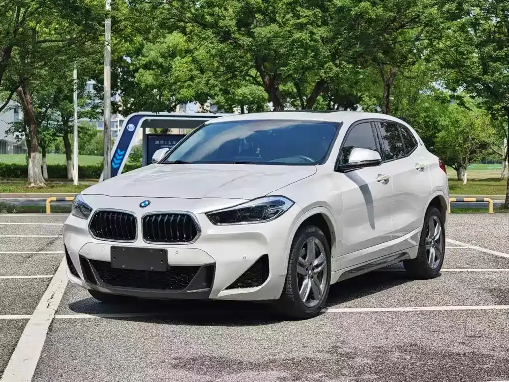 BMW X2 — фото 1