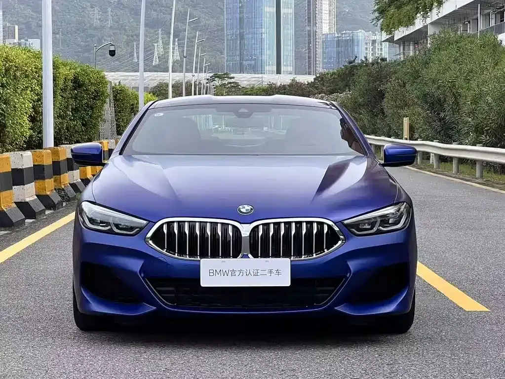 BMW 8 Series — фото 8