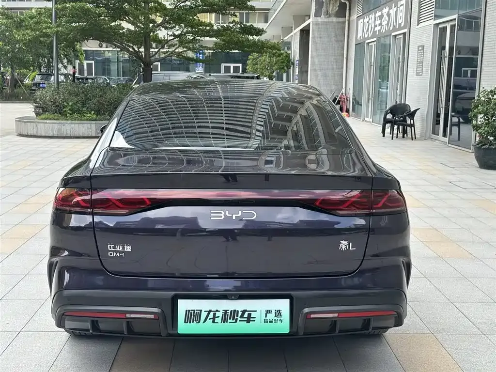 BYD Qin L 2024 из CN, фото 4