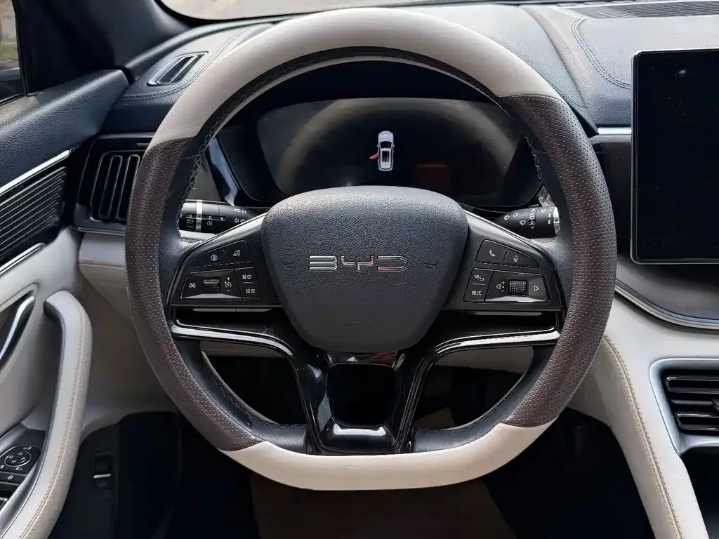 BYD PLUS New Energy — фото 2