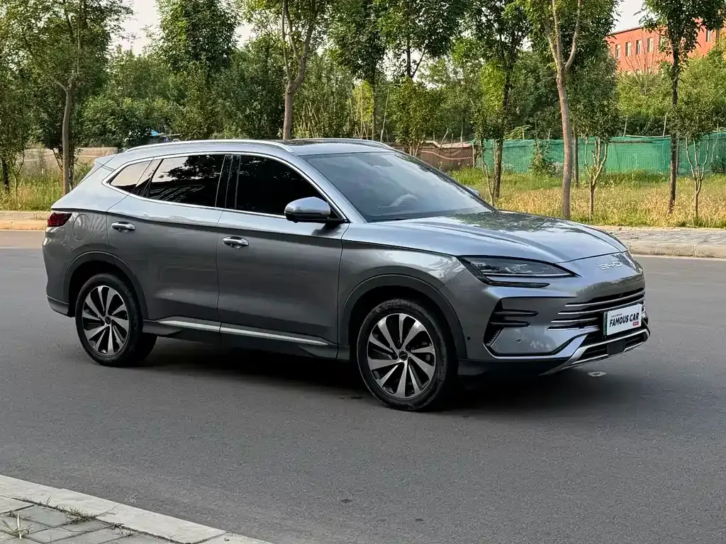 BYD PLUS New Energy — фото 9