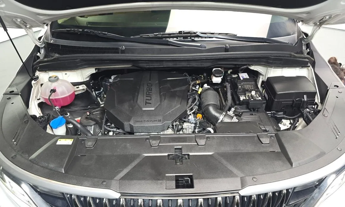 Kia Carnival — фото 10