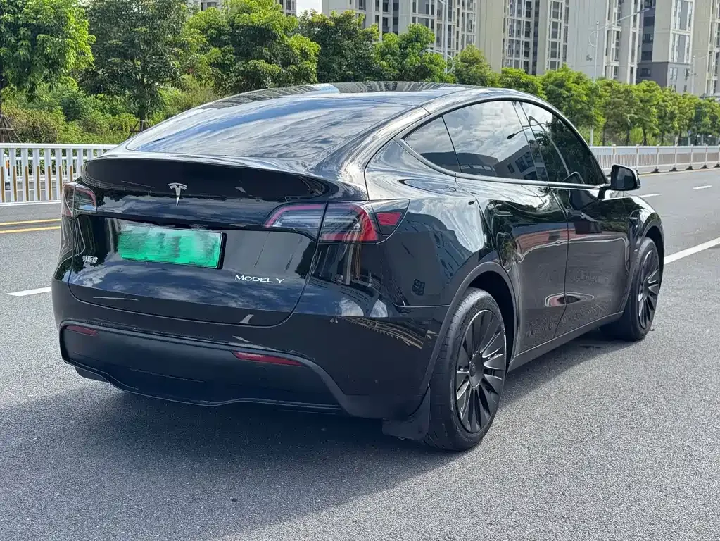 Tesla Model Y — фото 6