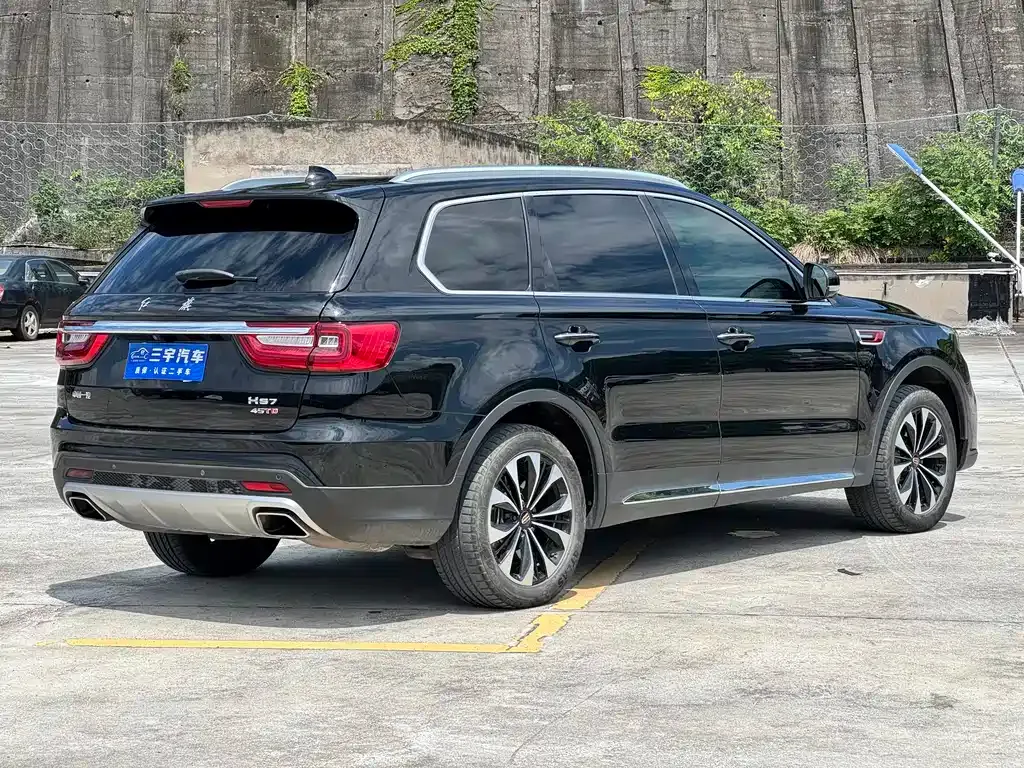 Hongqi HS7 — фото 10