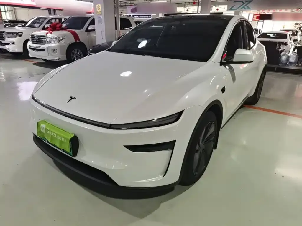 Tesla Model Y — фото 2