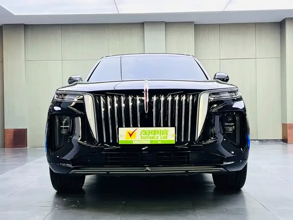 Hongqi E-HS9 — фото 8