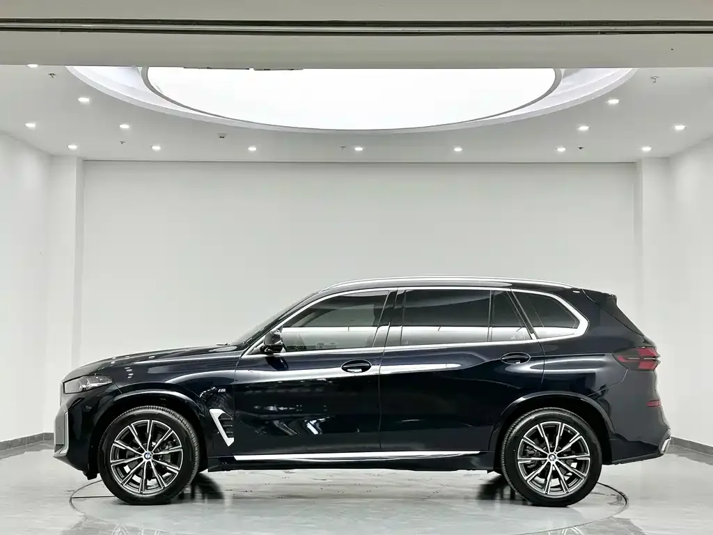 BMW X5 — фото 10