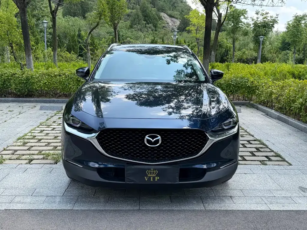 Mazda CX-30 2022 из CN, фото 10