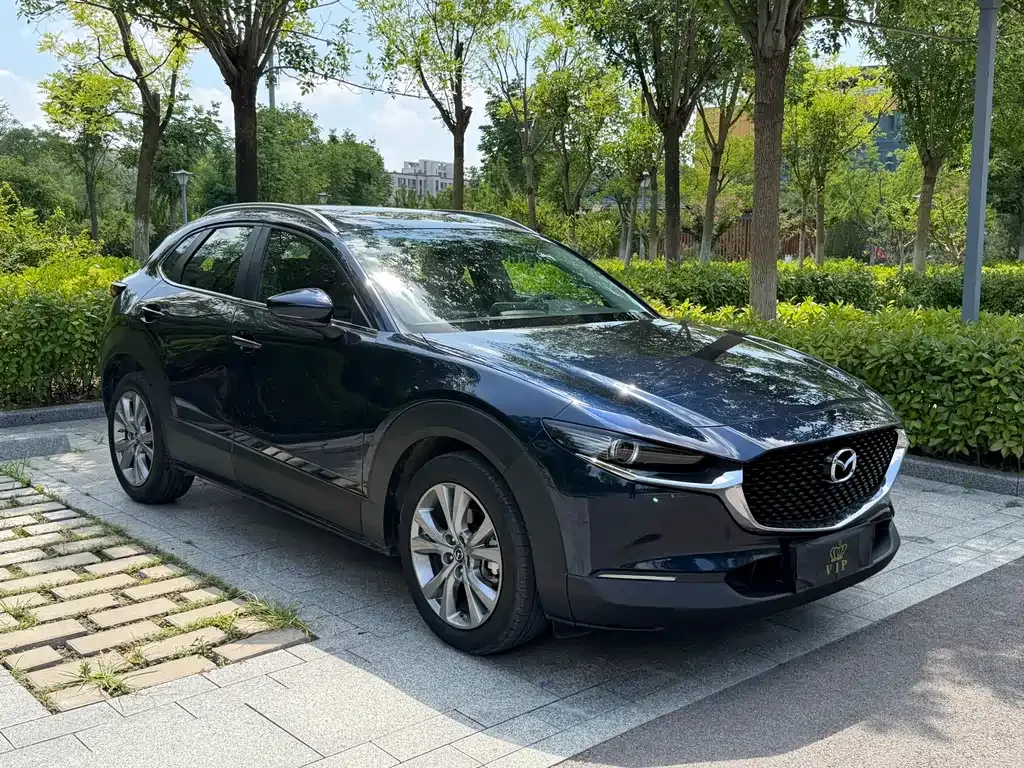 Mazda CX-30 2022 из CN, фото 9