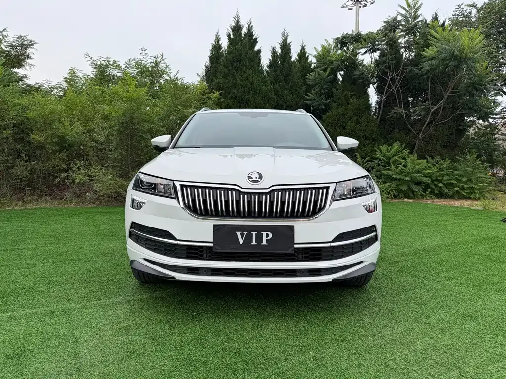Skoda Karoq — фото 10