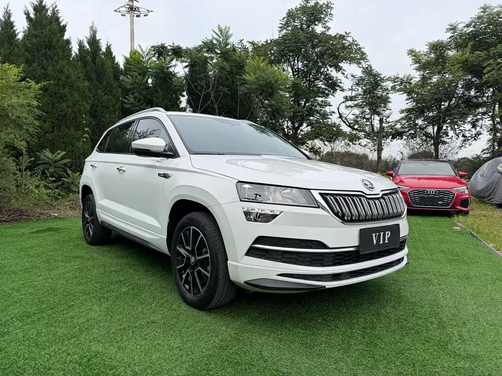 Skoda Karoq — фото 8