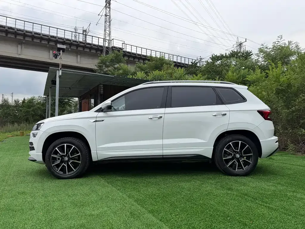 Skoda Karoq — фото 6