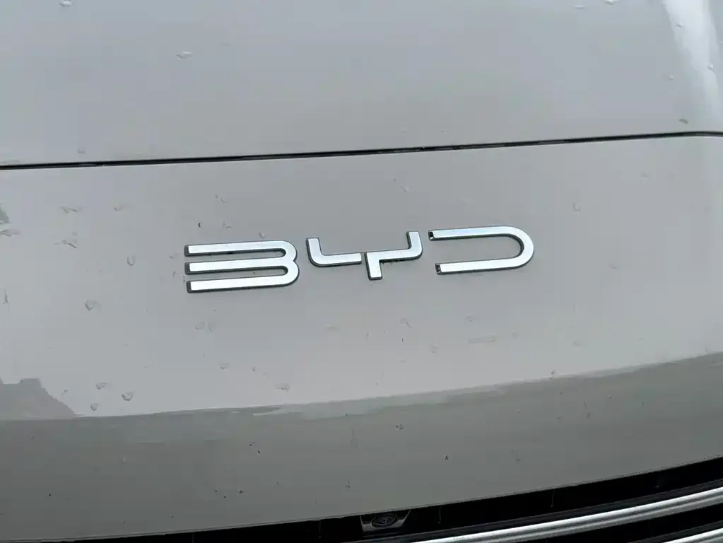 BYD PLUS New Energy — фото 2