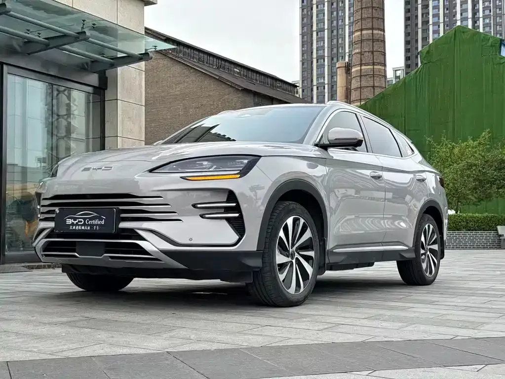 BYD PLUS New Energy — фото 7