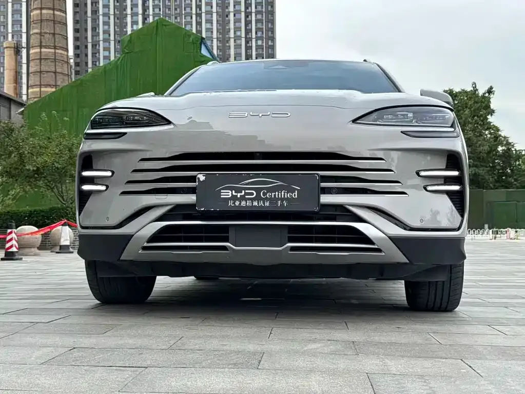 BYD PLUS New Energy — фото 9