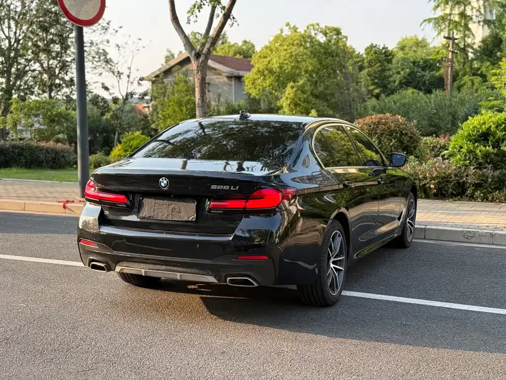 BMW 5 Series 2022 из CN, фото 5