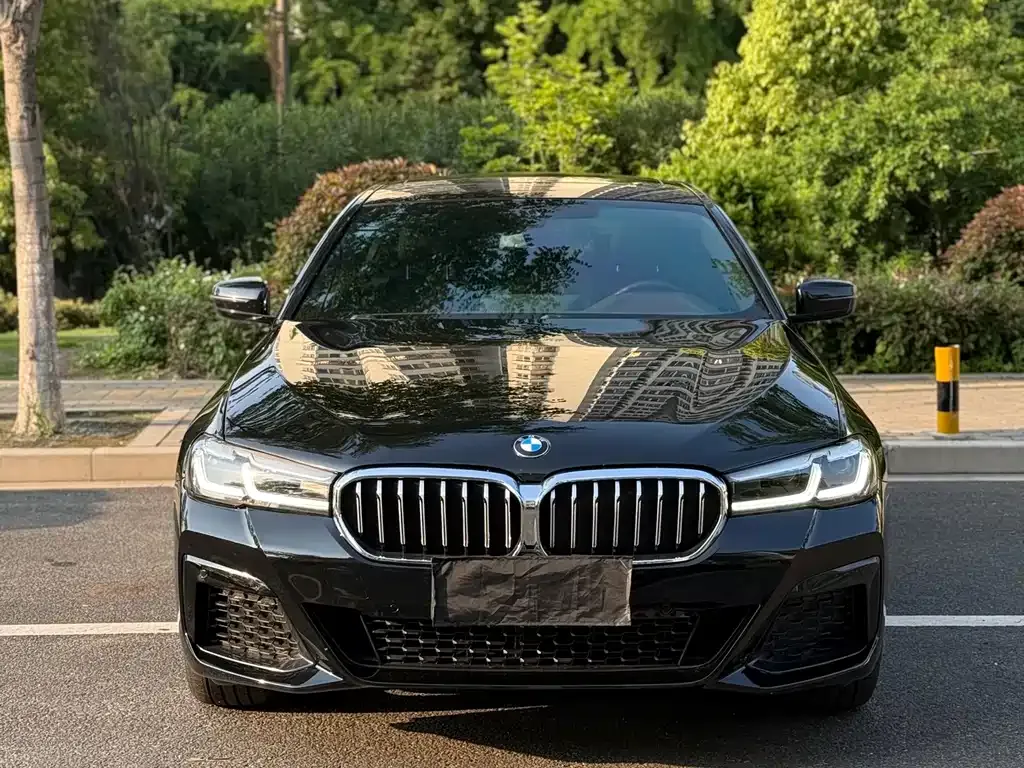 BMW 5 Series 2022 из CN, фото 9