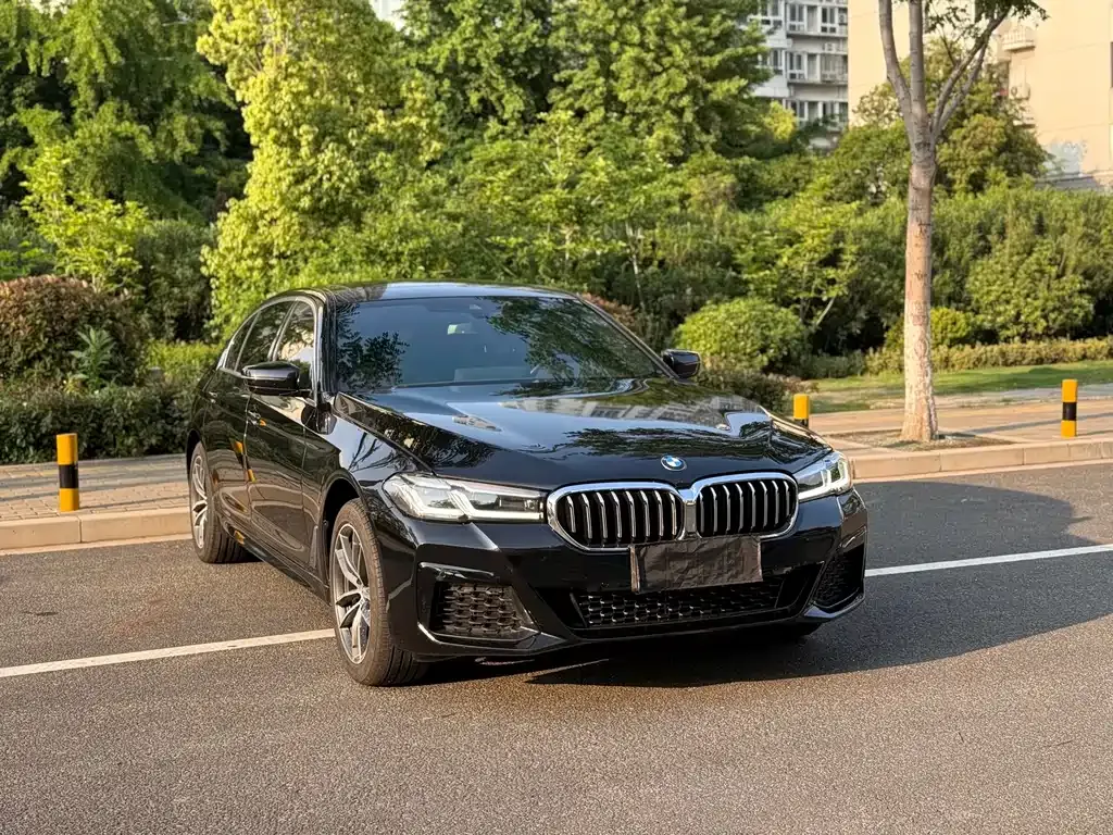 BMW 5 Series 2022 из CN, фото 4