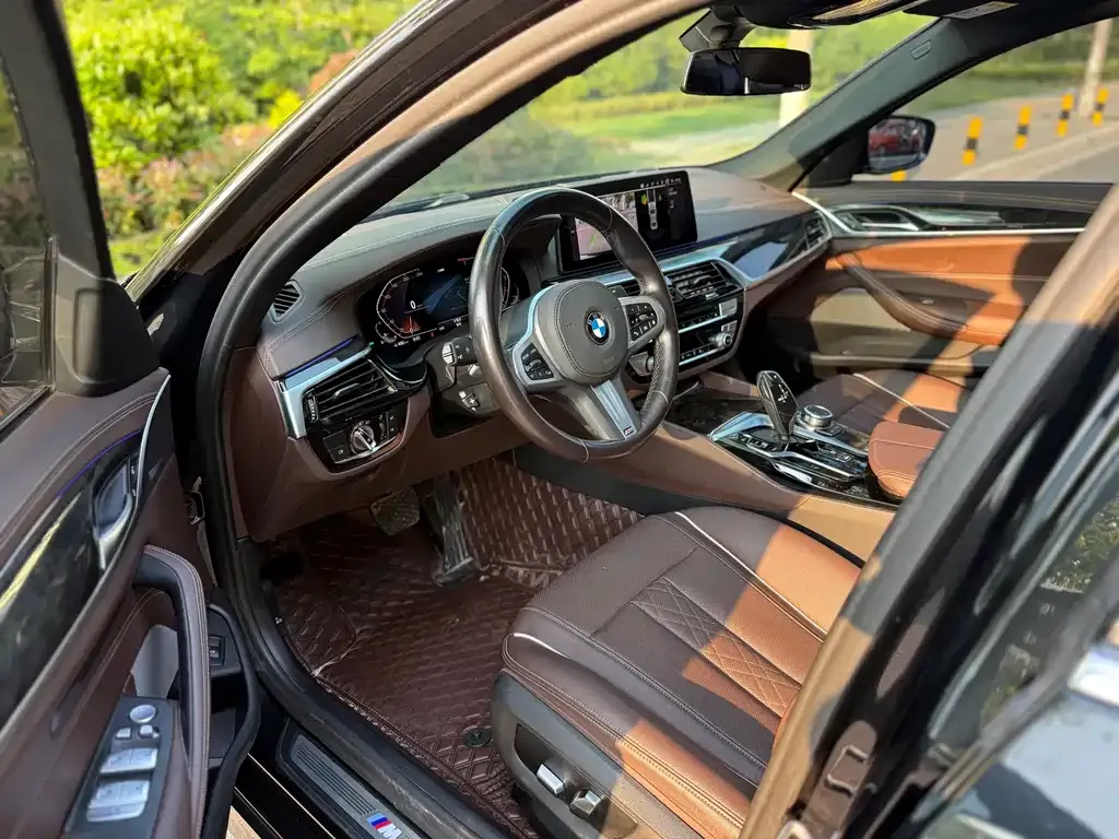 BMW 5 Series 2022 из CN, фото 8