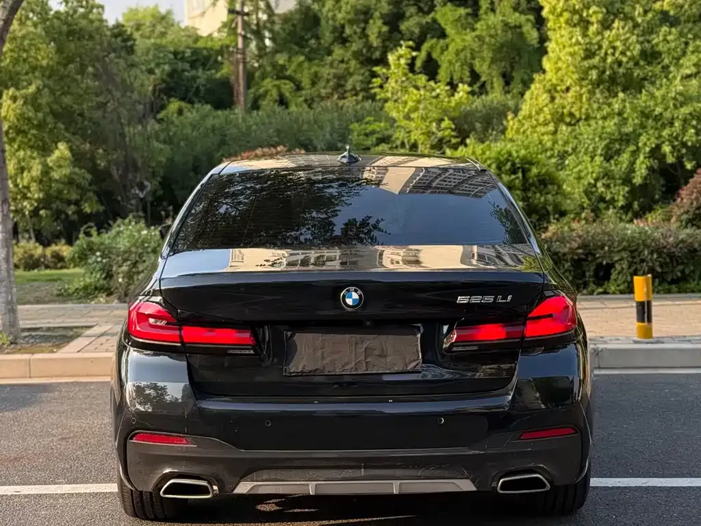 BMW 5 Series 2022 из CN, фото 7