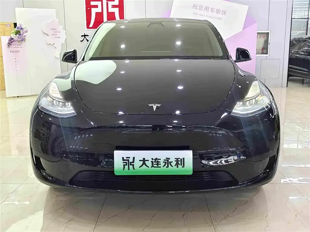 Tesla Model Y — фото 9